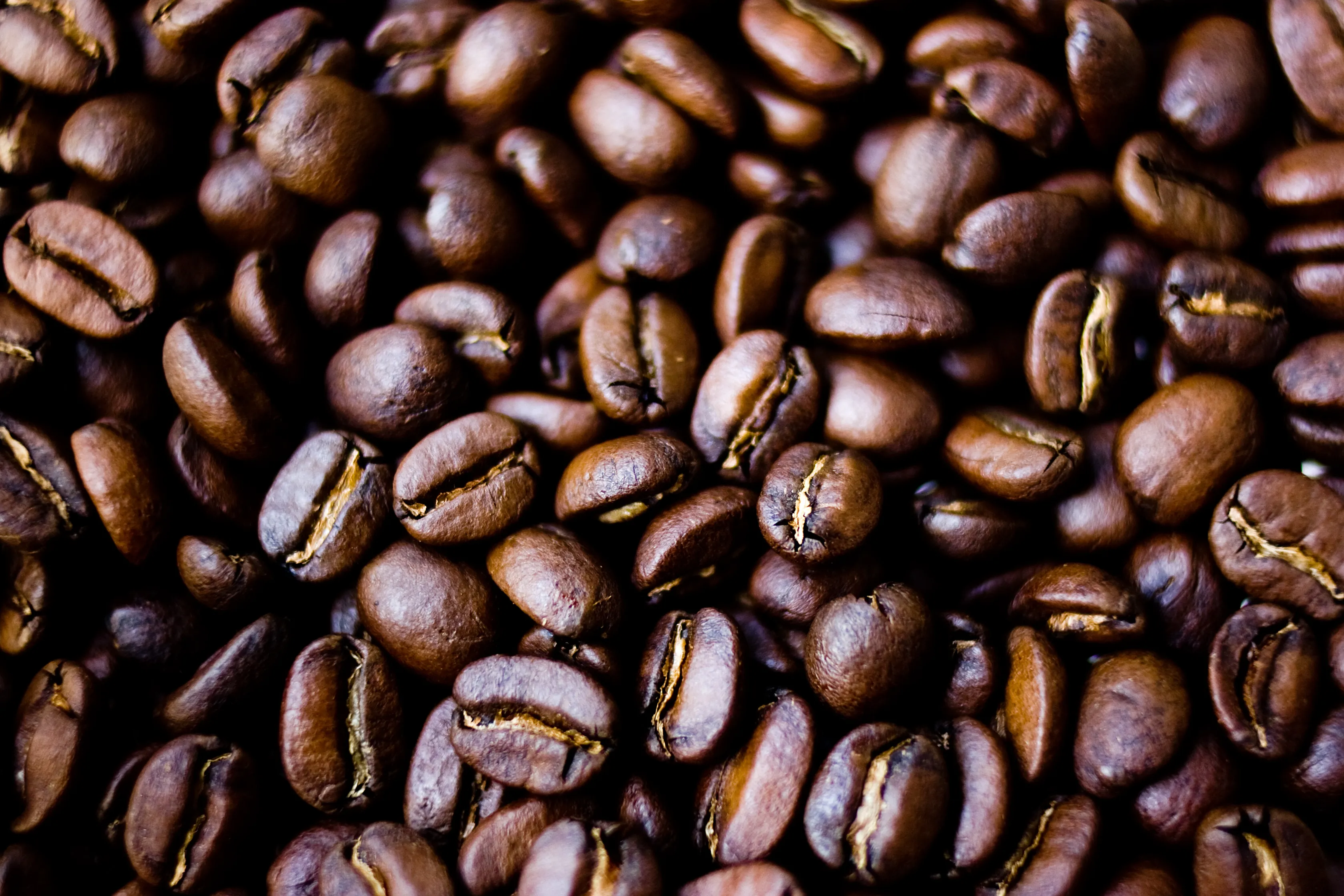 Getting to Know Civet Coffee: The Luxury of Coffee Produced from a Unique Process